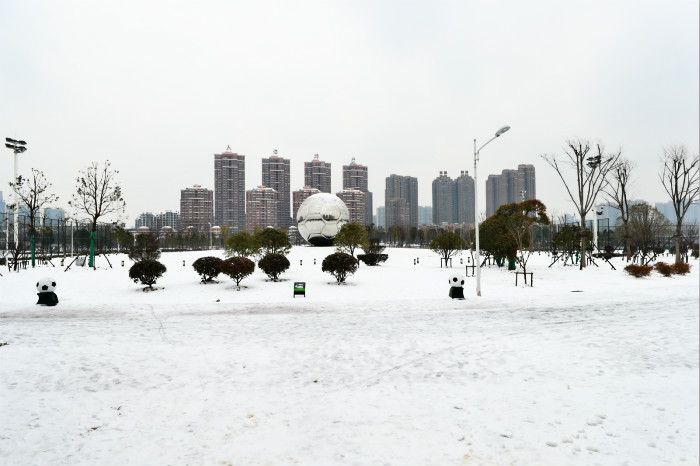 一場雪，體育中心美得不要不要的 但最美的風景還是他們(圖2)