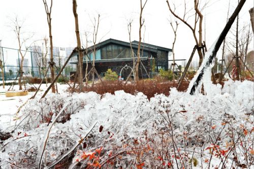 一場雪，體育中心美得不要不要的</br>但最美的風(fēng)景還是他們(圖2)