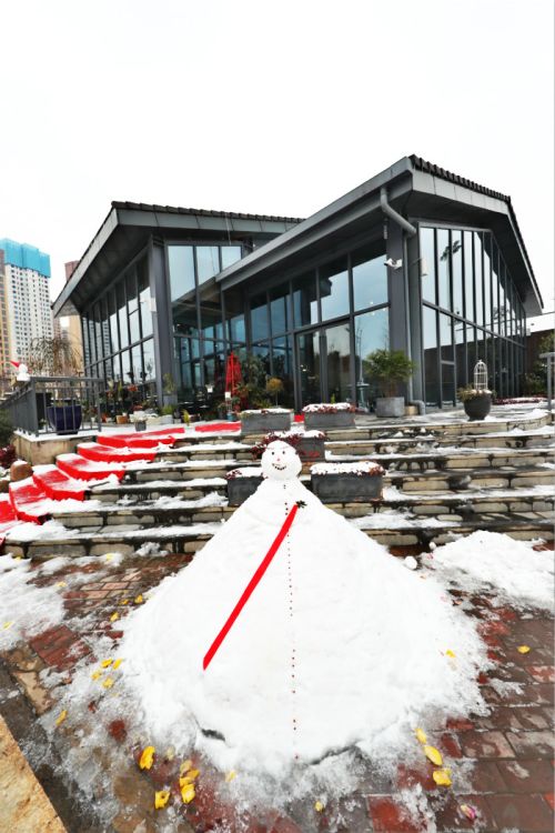 一場雪，體育中心美得不要不要的</br>但最美的風(fēng)景還是他們(圖11)