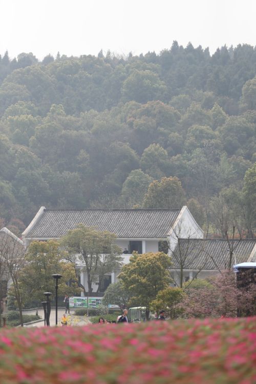 “與軍運(yùn)同行”徒步活動上演“快閃”  武漢體育中心作為企業(yè)代表隊第一方陣登場(圖3)